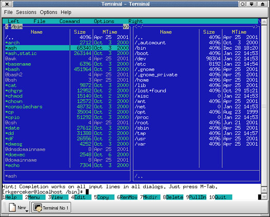 ncurses_example ncurses_example
